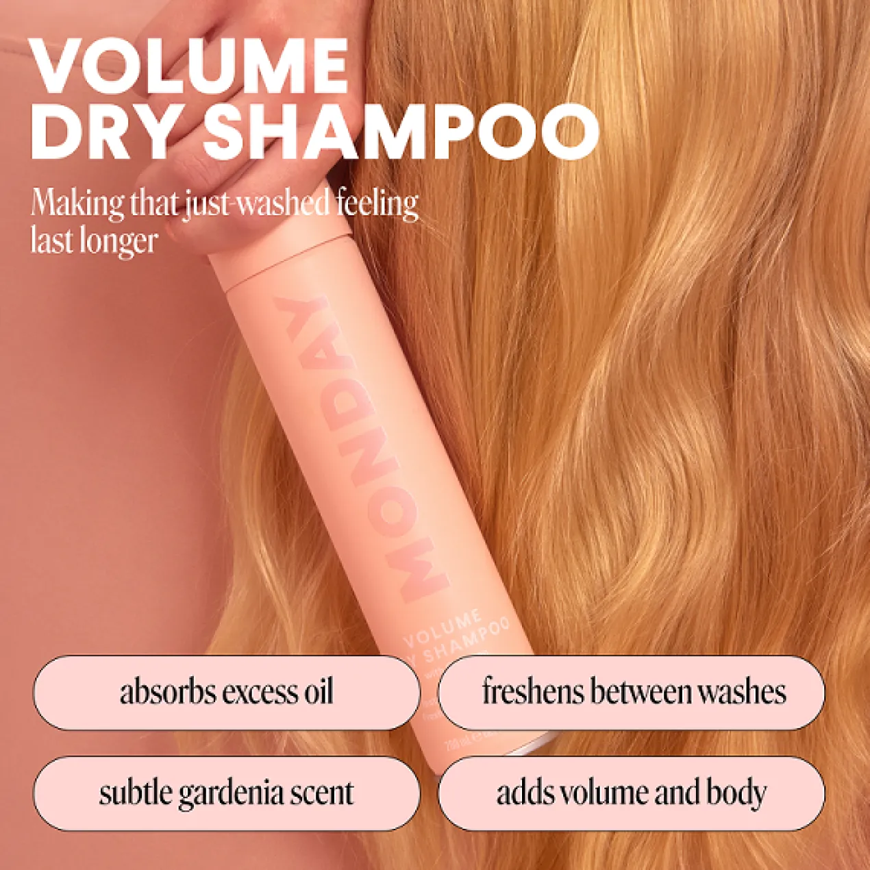 Shampoing Sec Volume