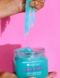 Shea Sugar Scrub Blue Lagoon Exfoliant pour le Corps