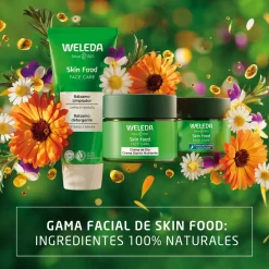 Skin Food Crème de Nuit