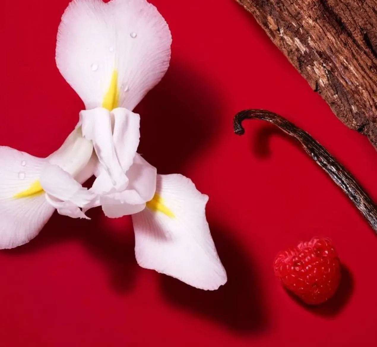 Sì Passione Red Bloom Eau de Parfum pour Femme