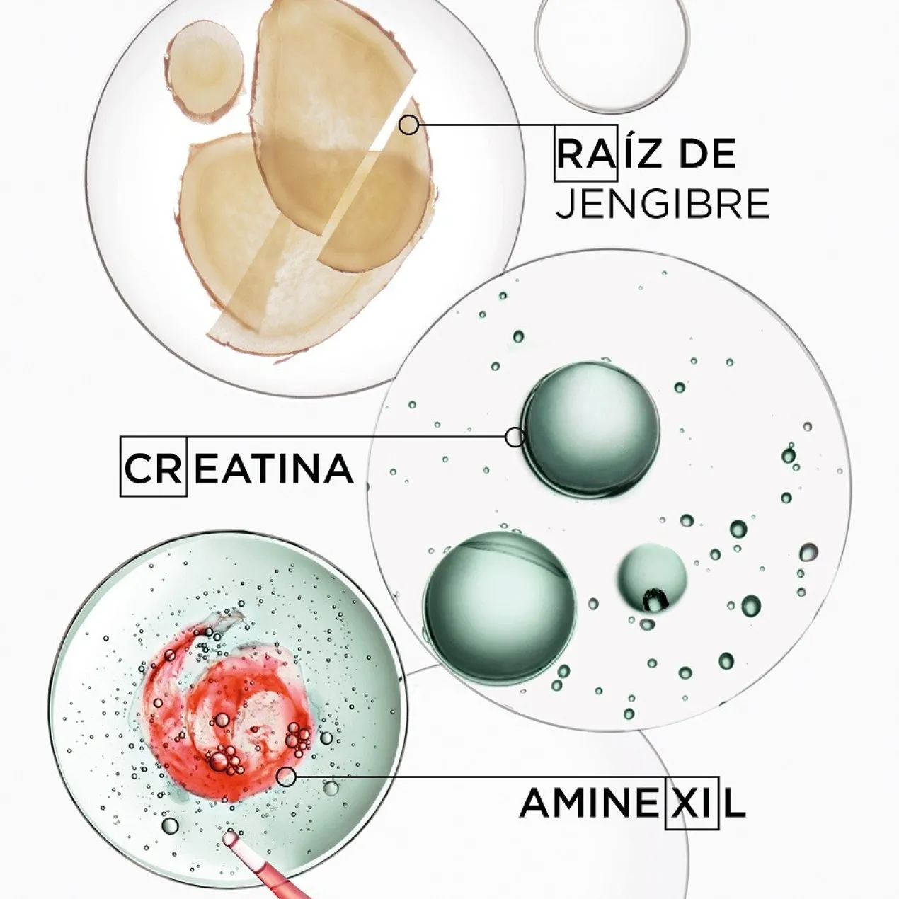 Sérum anti-chute Genesis Homme