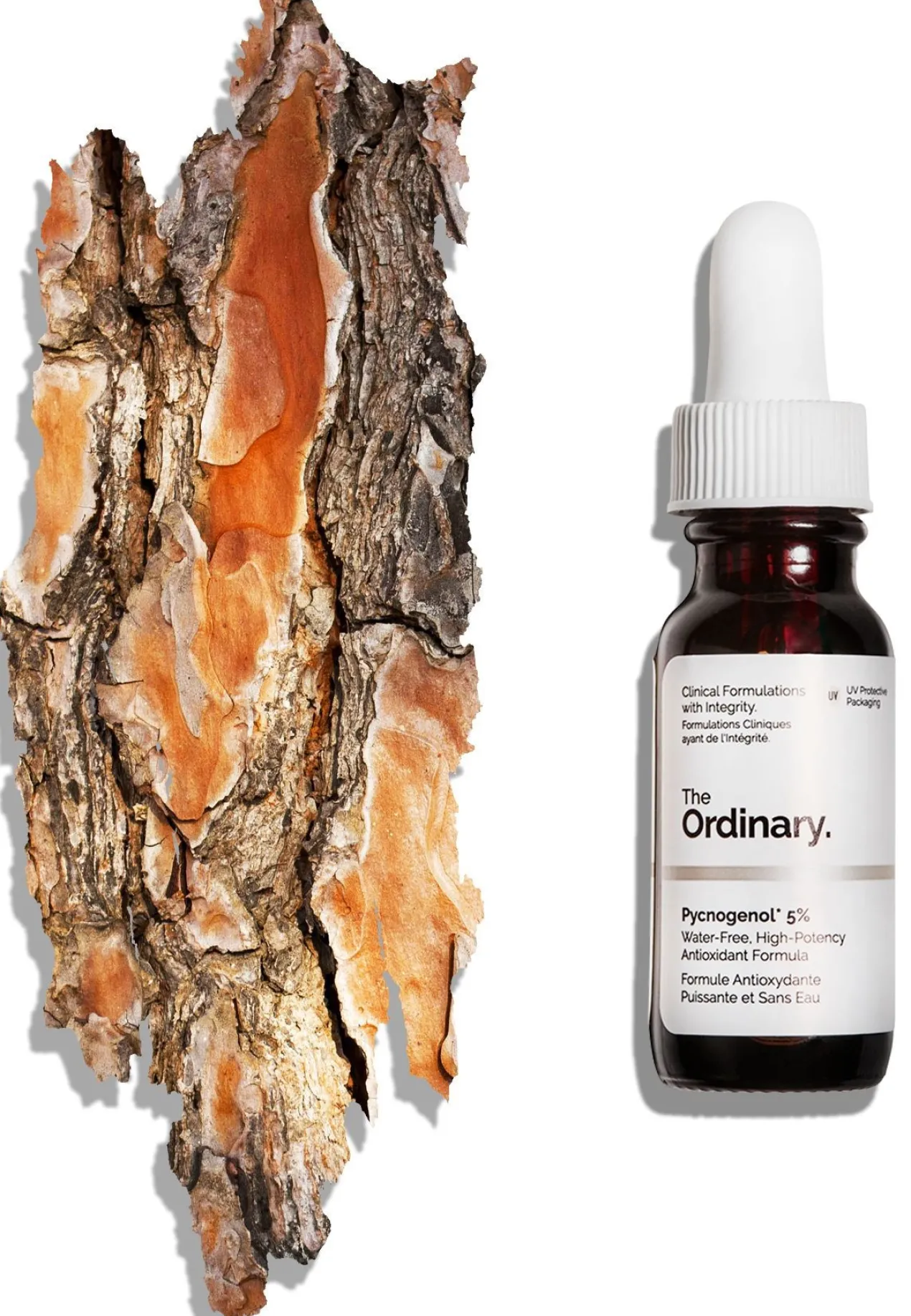 Sérum Antioxydant Pycnogenol 5%