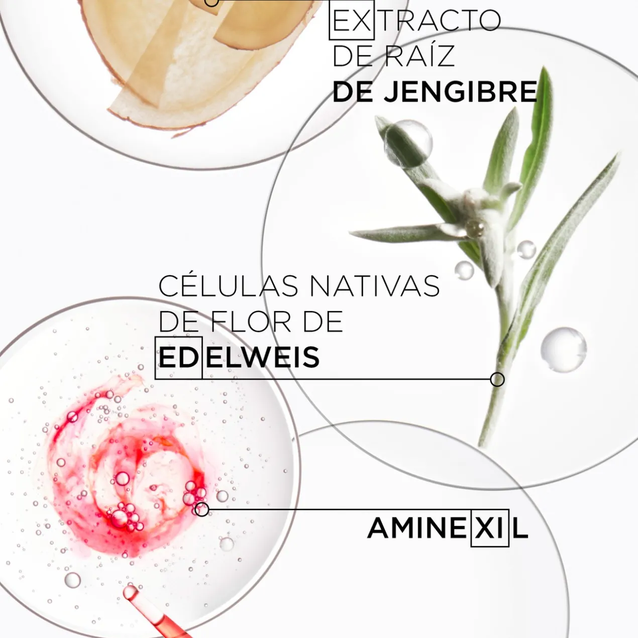 Sérum Fortifiant Antichute Genesis
