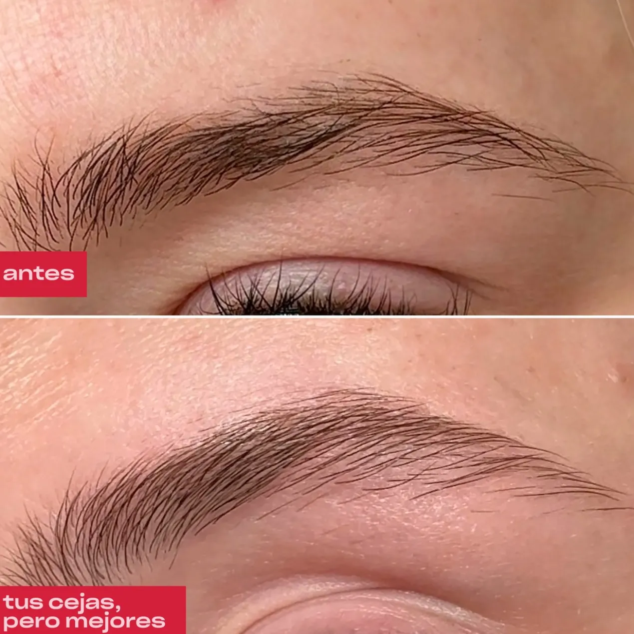 Sérum Sourcils