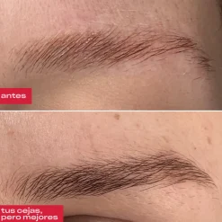 Sérum Sourcils