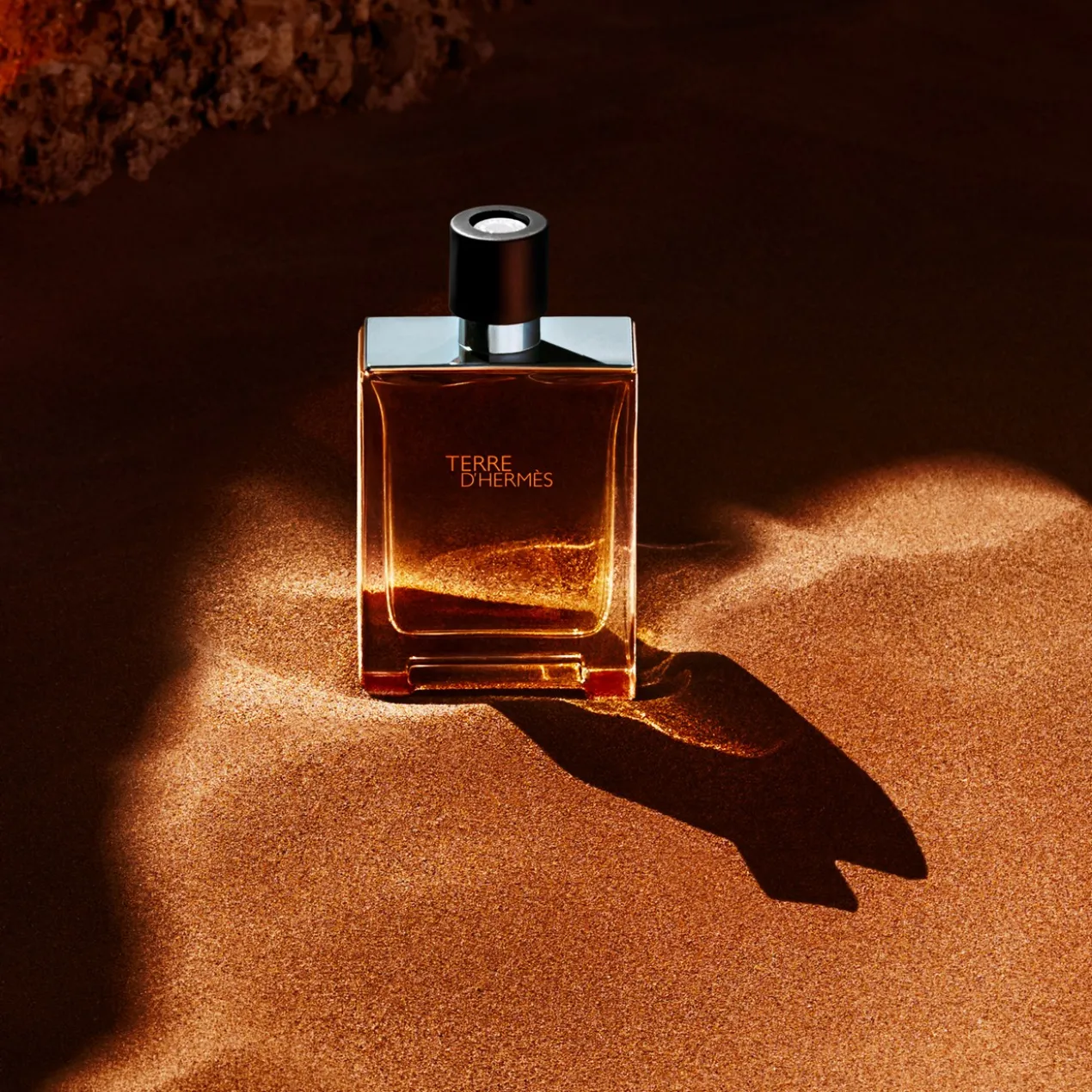 Terre d'Hermès Eau de Toilette
