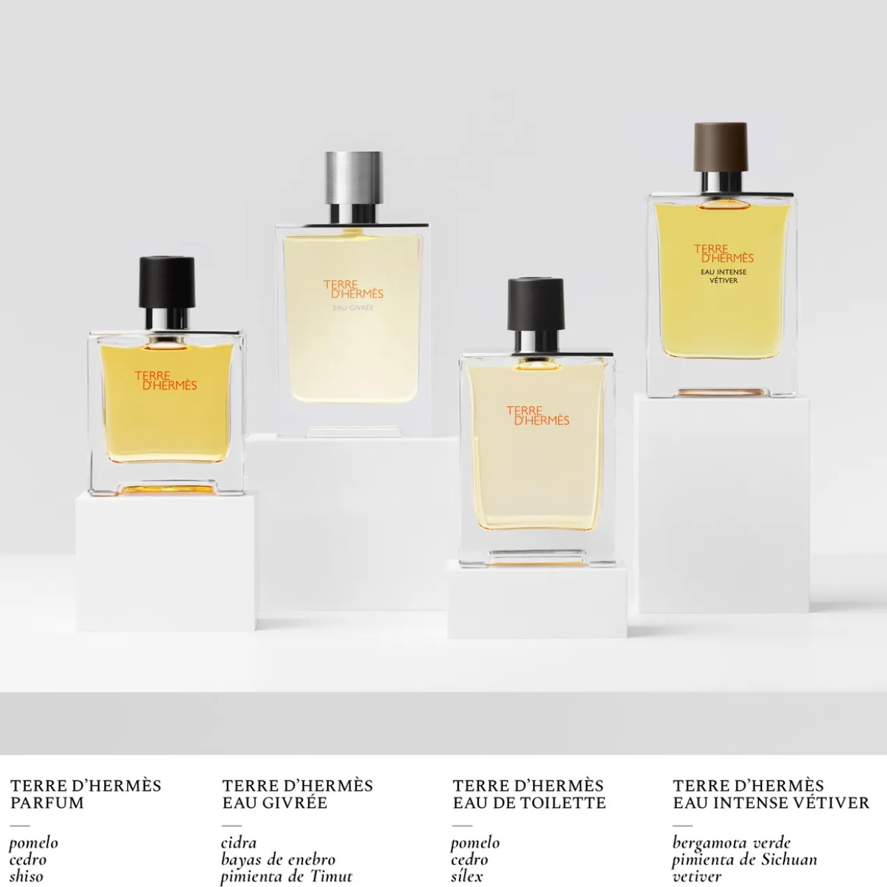 Terre d'Hermès Eau de Toilette