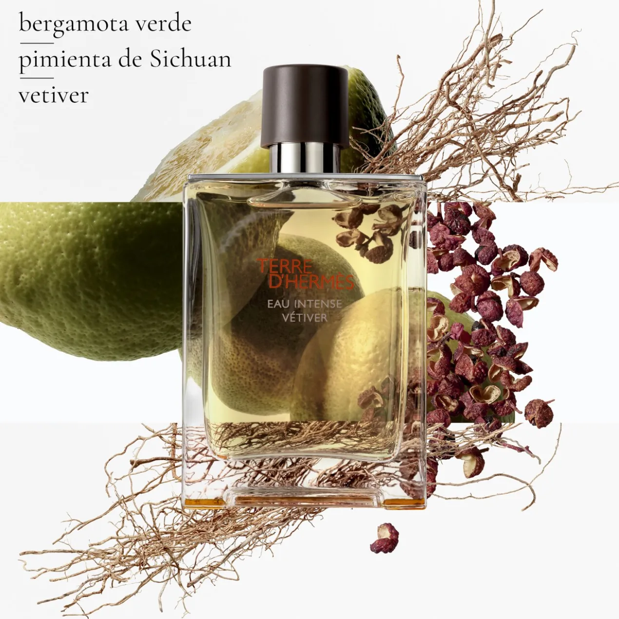 Terre d'Hermès Eau Intense Vetiver Eau de Parfum