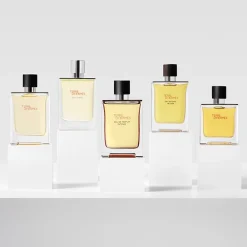Terre D'Hermès Men Eau de Parfum Intense