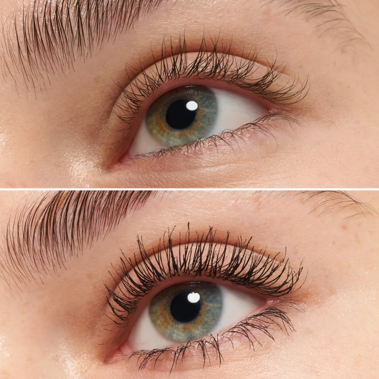 The False Lashes Volume Extrême