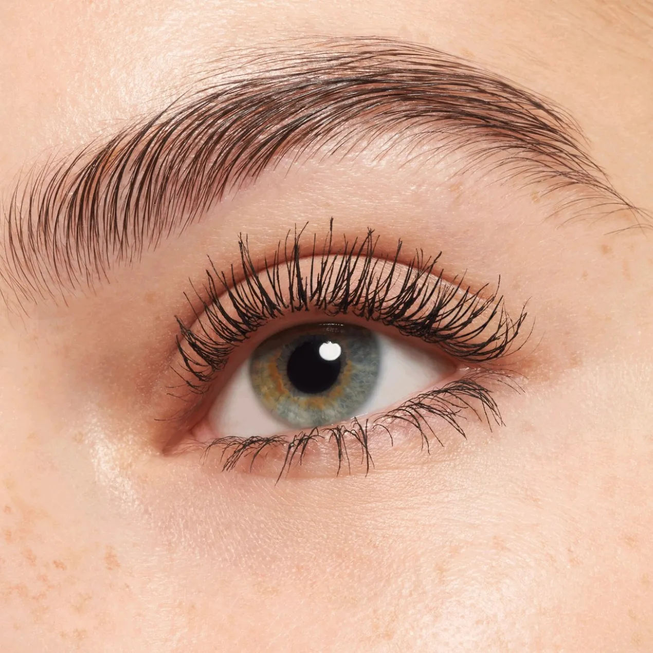 The False Lashes Volume Extrême