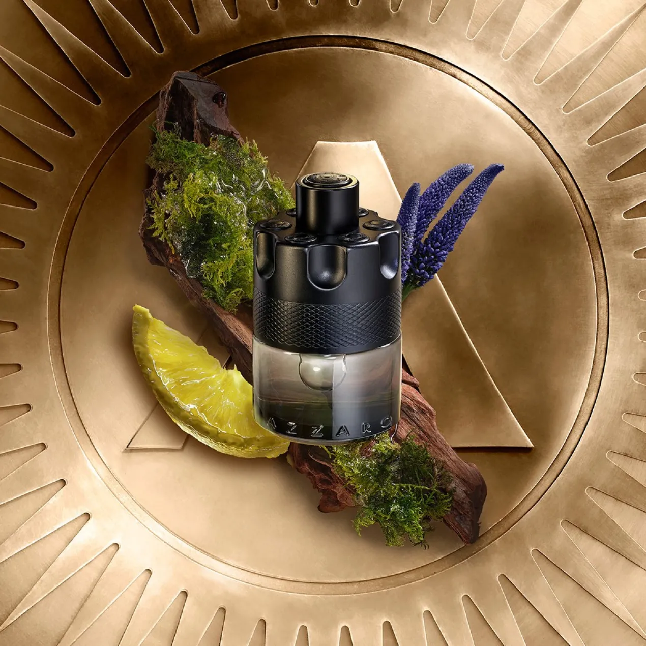 The Most Wanted Eau de Toilette Intense Parfum Homme Fougère