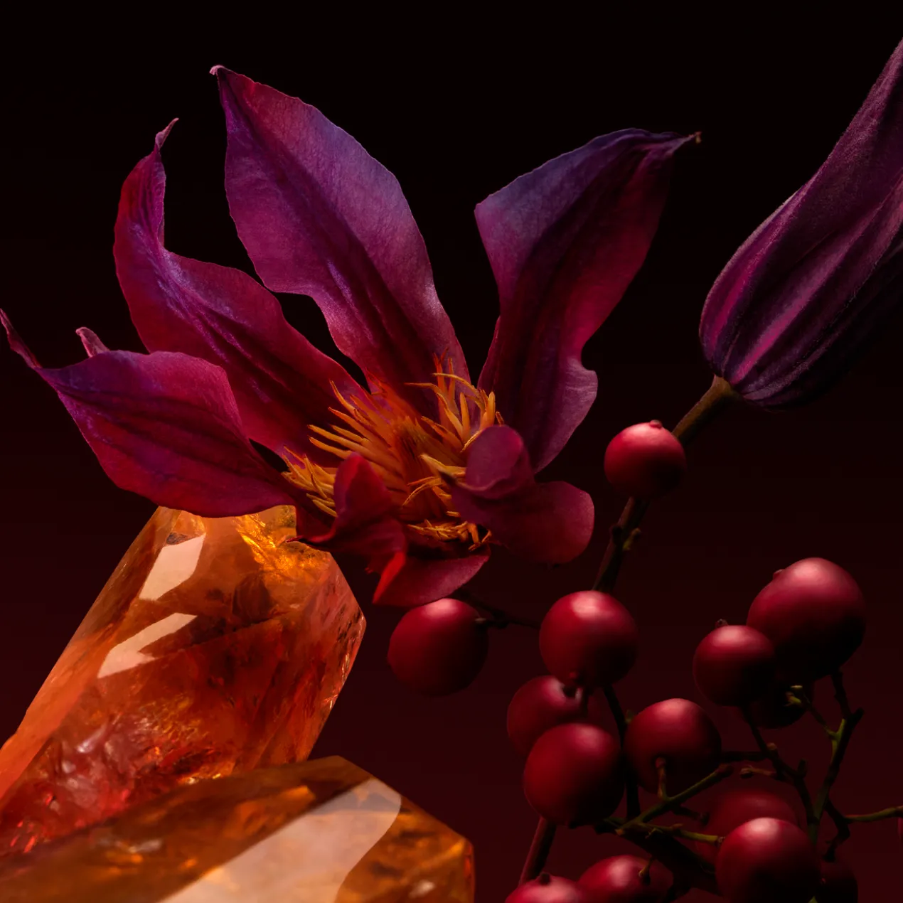 The Scent For Her Elixir Parfum