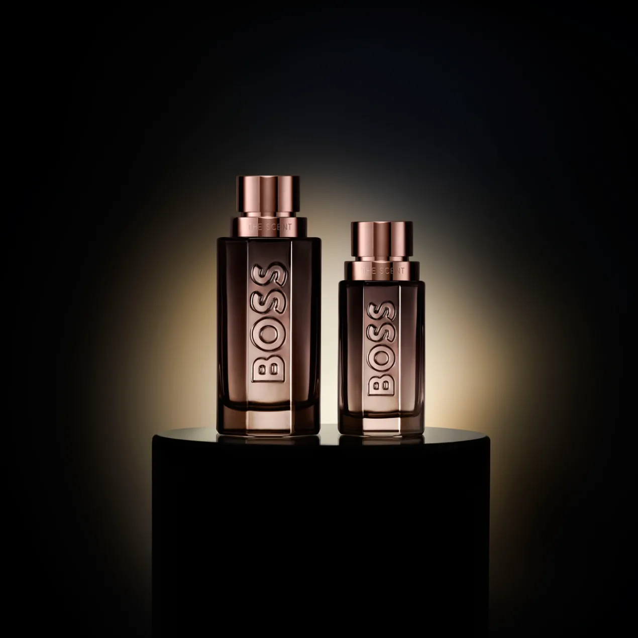 The Scent Le Parfum For Him