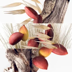 Un Jardin À Cythère Eau de Toilette