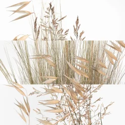 Un Jardin À Cythère Eau de Toilette