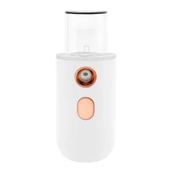 Vaporisateur Facial Électrique Rechargeable
