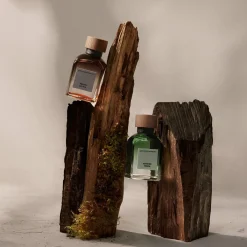 Vetiver Terra Eau de Parfum