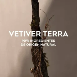 Vetiver Terra Eau de Parfum