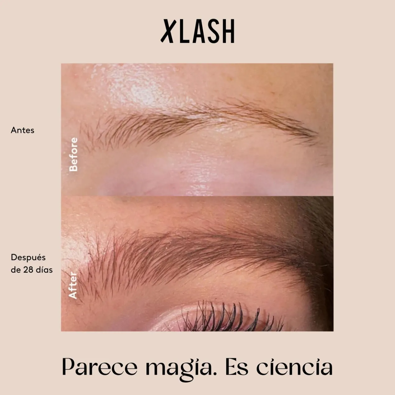 Xbrow Eyebrow Serum